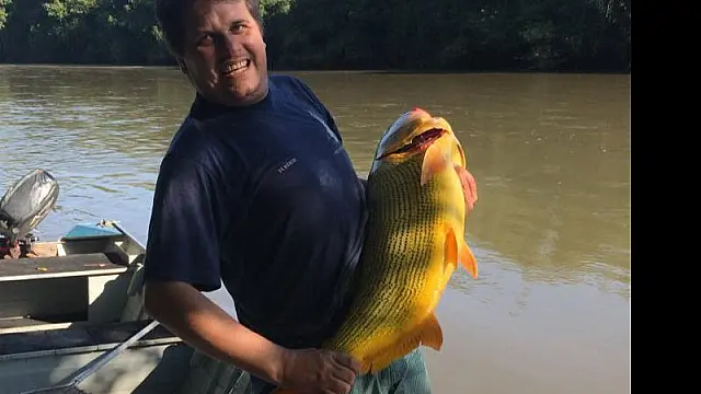 Pescador amador fisga Dourado de 10 quilos no Rio Aquidauana