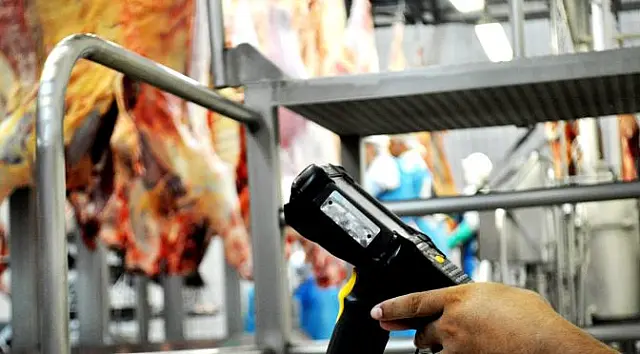 Programa "Precoce MS" completa 4 anos em Mato Grosso do Sul