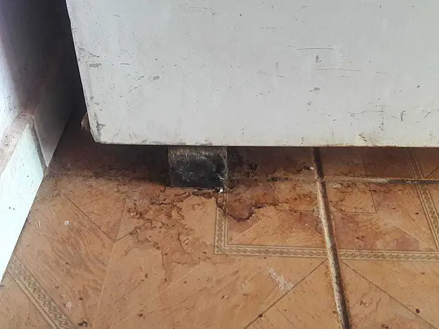 Polícia prende mulher suspeita de ter matado homem e escondido corpo em freezer