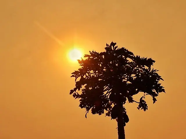 Doze cidades do Estado registraram temperaturas acima de 40ºC