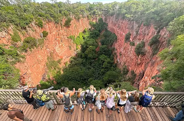 Turismo e conservação no Pantanal e em Bonito atraem olhares do mundo todo
