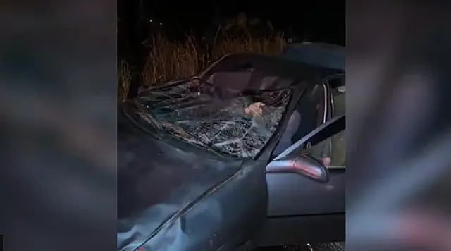 Colisão com boi deixa duas pessoas feridas em estrada de Deodápolis