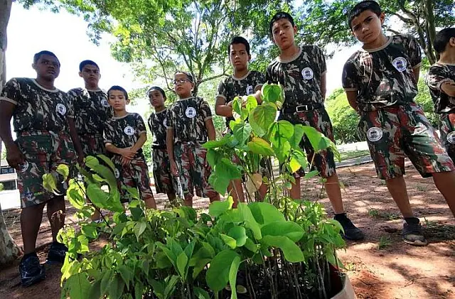 PMA troca mudas por alimentos para lembrar Dia Internacional do Meio Ambiente