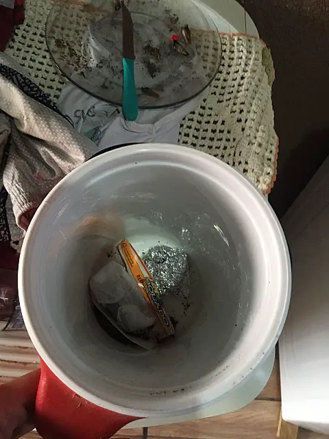 Polícia cumpre mandados de busca e apreensão por tráfico de drogas