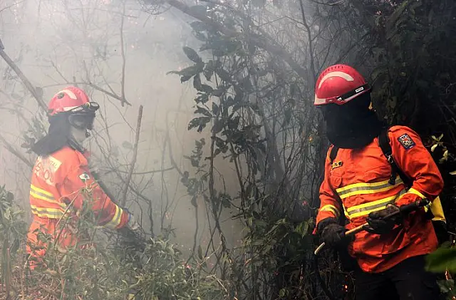 Incêndios são controlados com atuação de 340 pessoas em MS