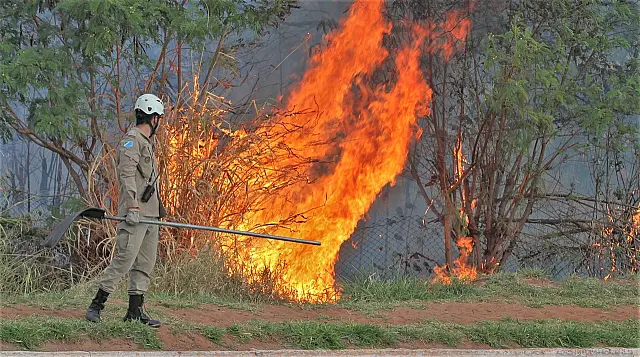 Alerta: com tempo seco focos de incêndio aumentam 133%