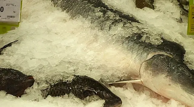 Procon-MS: Preço de pescado chega a variar 200% em estabelecimentos do MS
