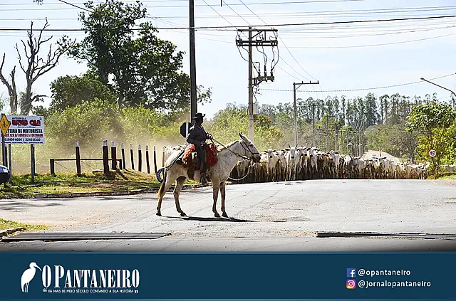 Rumo ao município de Maracaju, comitiva que saiu de Corumbá passa por Aquidauana