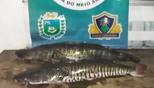 Funileiro de Aquidauana é autuado em R$ 1,3 mil por pesca acima da cota