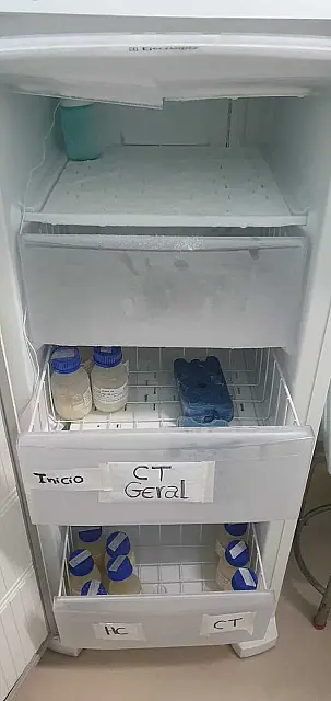 Bebês internados precisam de leite humano