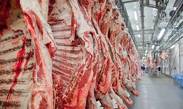 Exportação de carne do Brasil aumenta 12% no ano até agosto