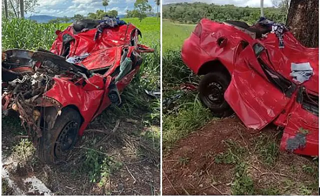 Acidente fatal: carro colide em árvore e motorista morre na BR-262