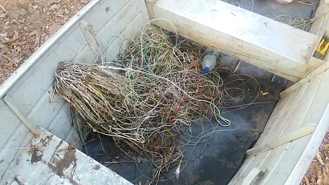 Campo-grandense é flagrado com peixe abaixo da medida no Rio Aquidauana