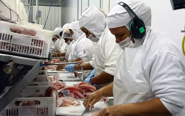 MS foca na piscicultura para ampliar rol de proteínas animais