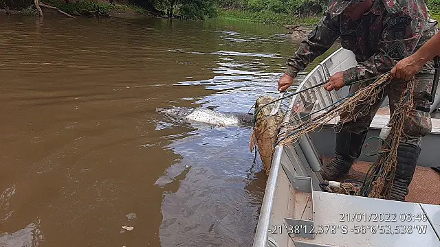 PMA apreende rede de pesca com peixes já podres