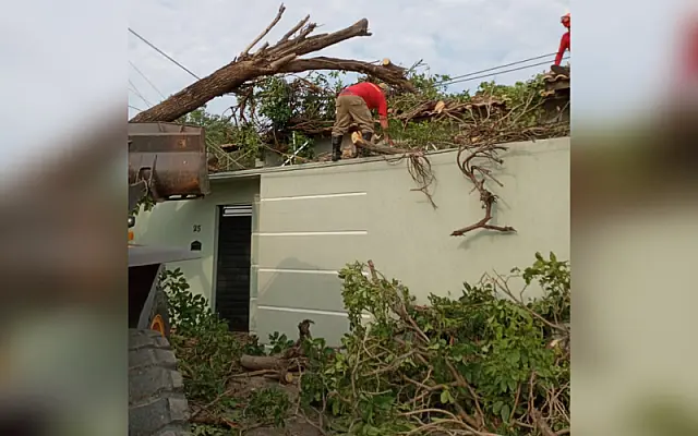Do caos da ventania, sobrou muita "faxina" nas ruas municipais