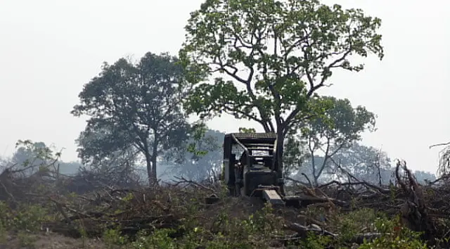 MS é o segundo no país em qualidade do licenciamento ambiental, aponta pesquisa