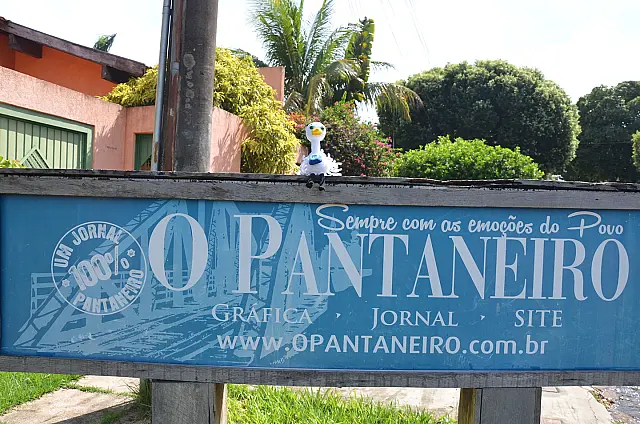 Nosso mascote precisa de um nome, nos ajude!