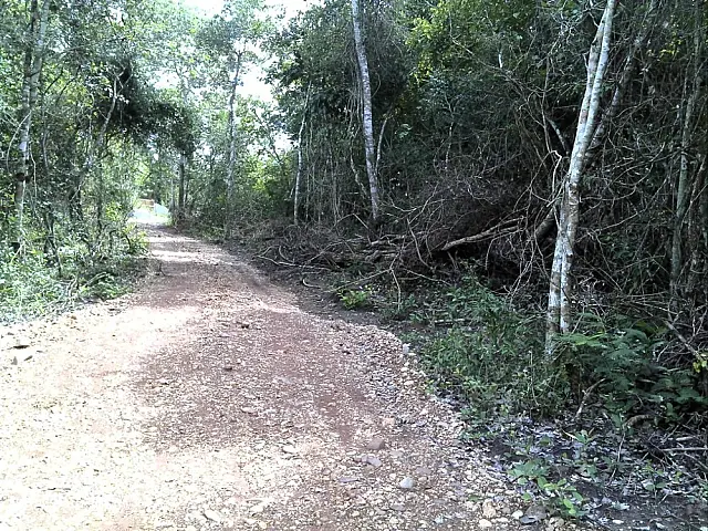 Dono de pesqueiro em Bonito, MS, desmata área para abrir estrada e leva multa de R$ 5 mil da PMA