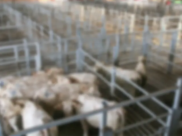 MP investiga denúncia de maus-tratos a animais em fazenda de Dourados