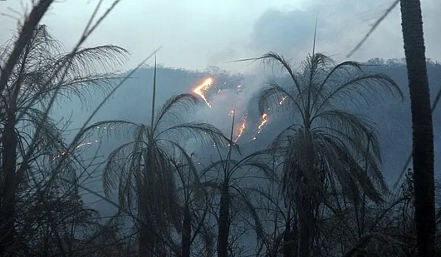 Bombeiros reforçam combate a incêndios no Pantanal entre MS e MT