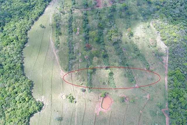 Fazendeiro é multado em R$ 1,2 mil por desmatamento em Bonito