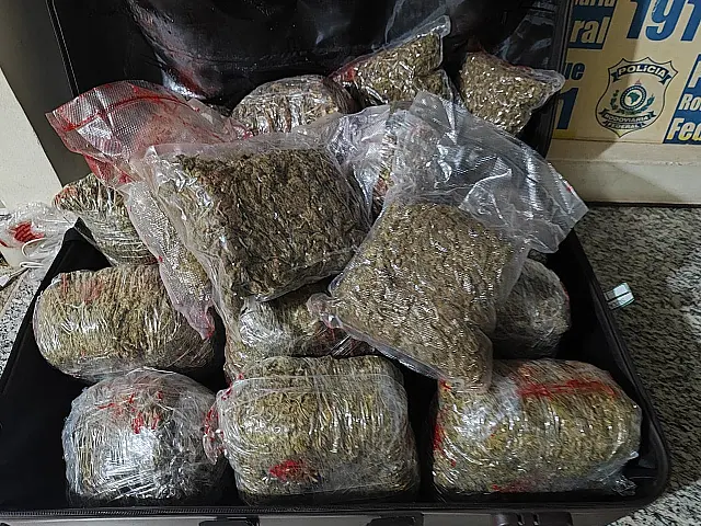 PRF apreende 15 kg de maconha com passageira de ônibus em Corumbá