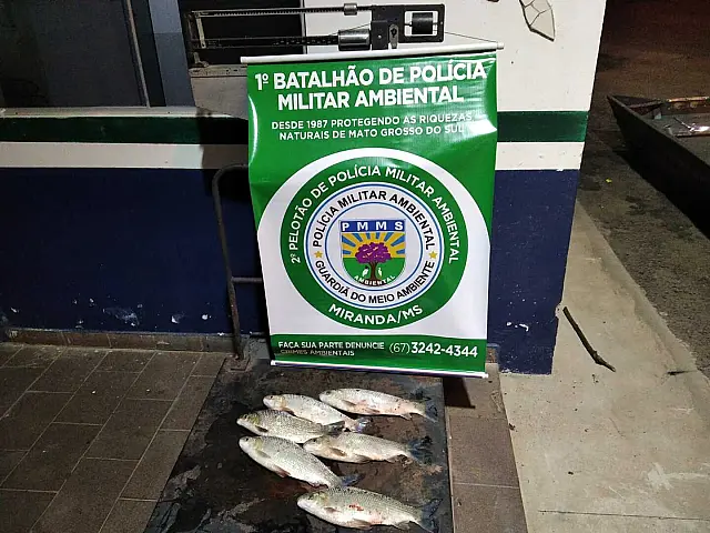 Homens são presos em Miranda por pesca com tarrafa e pescado fora da medida