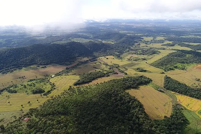 Fazendeiro é multado em R$ 67,5 mil por desmatamento em Bonito