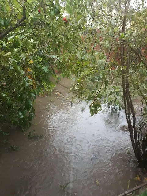 Moradora do Lídio Barbieri denuncia descaso da Prefeitura com saneamento básico