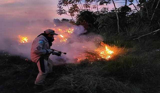 Com ações preventivas à incêndios florestais, Bombeiros devem executar mais de 500 diligências