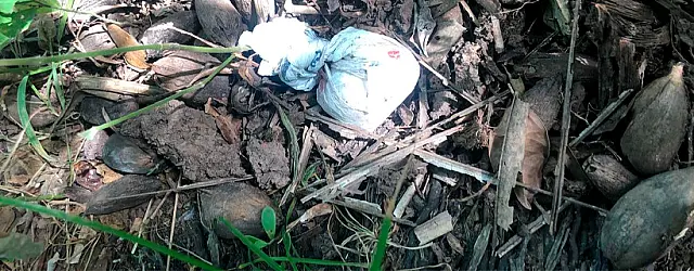 Vídeo: Casal que vendia cocaína em bar é preso e polícia apreende droga escondida em chácara