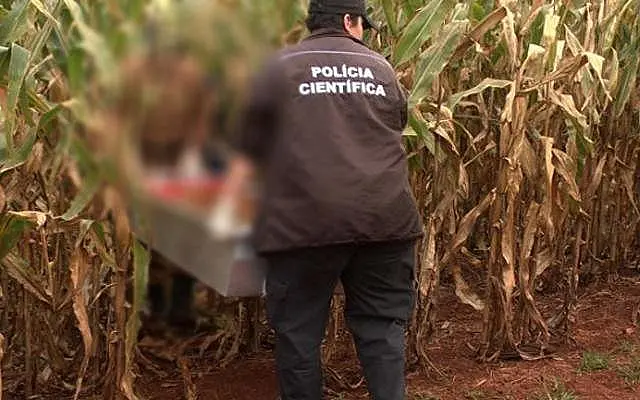 Homem é executado e corpo encontrado em lavoura de milho em MS