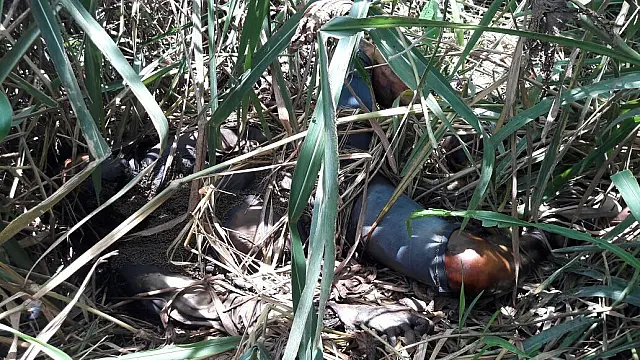 Encontrado morto em Anastácio foi denunciado por estupro na Capital