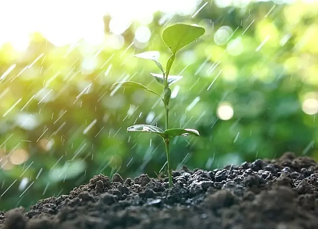 Comprometido com a sustentabilidade, agro prioriza preservação e uso racional da água