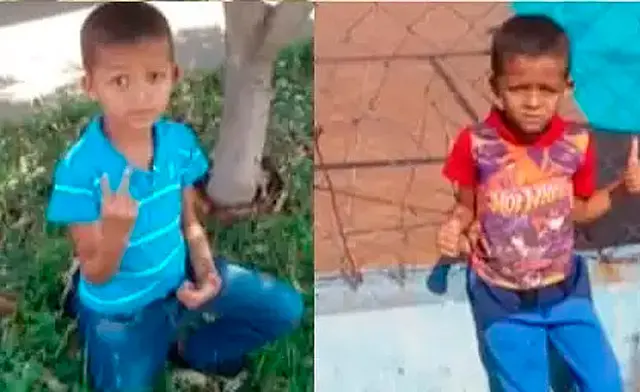 Criança de 7 anos morre e suspeita é de ataque de escorpião
