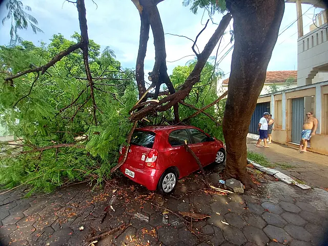 Vendaval causa diversos estragos em Corumbá e Ladário