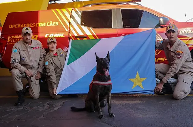 Bombeiros reforçam salvamento no RS com novos militares e cadela de busca