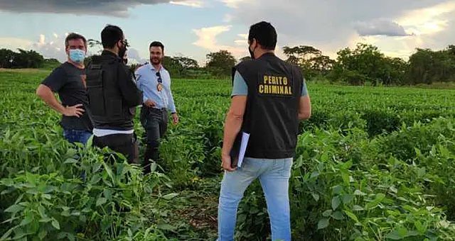 Idosa é encontrada morta em plantação de soja