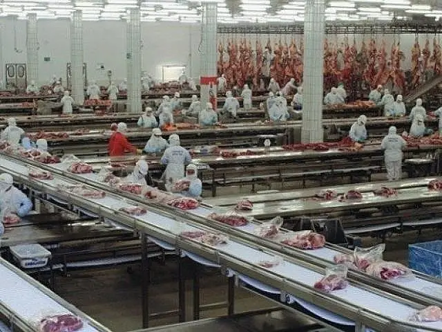 Área da JBS em Sidrolândia é evacuada após vazamento de amônia