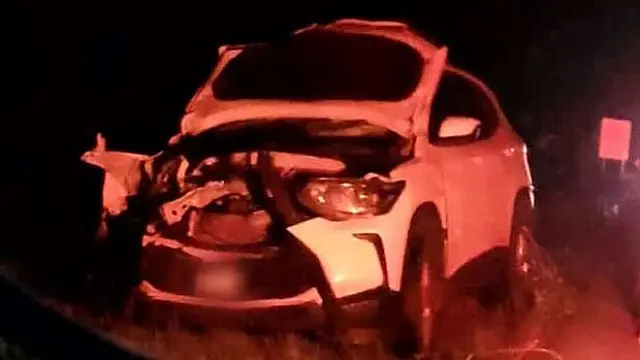 Motorista destrói carro após atropelar e matar anta na BR-267 em Jardim