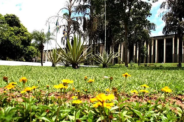 Dia Internacional da Mulher na ALEMS será comemorado em sessão virtual
