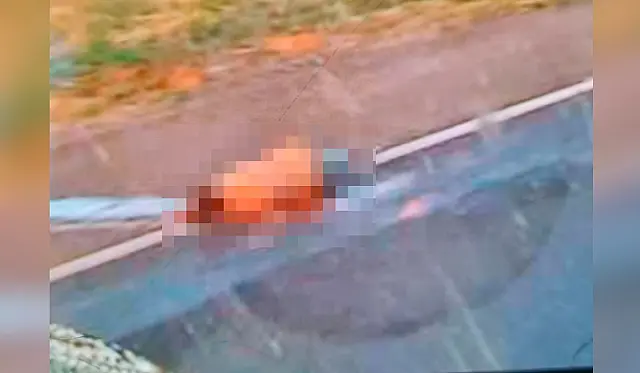 Homem é encontrado morto na BR-262 após ser atropelado a 50 km de Aquidauana