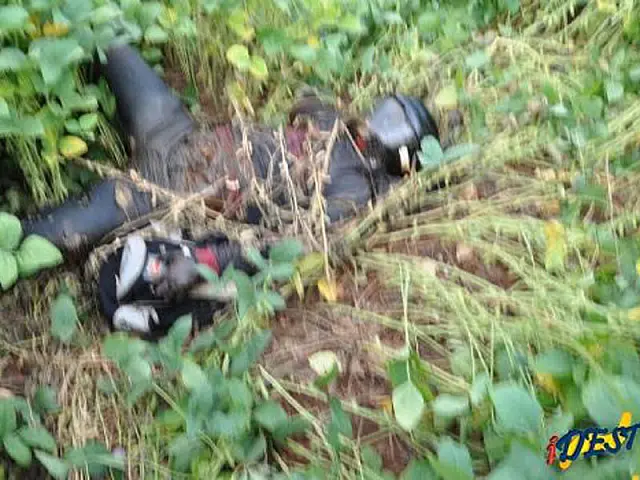 Corpo de jovem desaparecido é encontrado na BR-060 em Chapadão