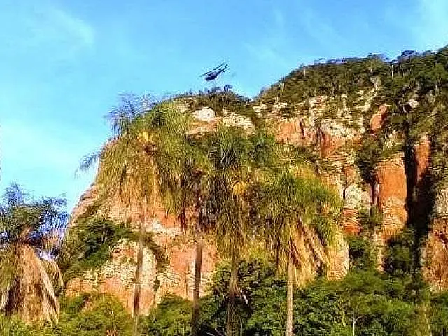 Turistas fogem de ataque de abelhas ao escalar montanha e se perdem