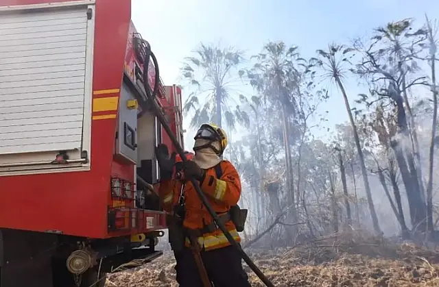 MS recebe reforço de Sergipe para combater o fogo no Pantanal