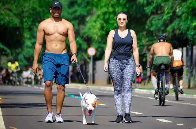 Projeto 'Amigos do Parque' completa 7 anos e se consolida como local de lazer para famílias
