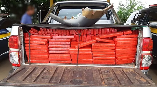 Traficante bate caminhonete e abandonada 860 quilos de maconha
