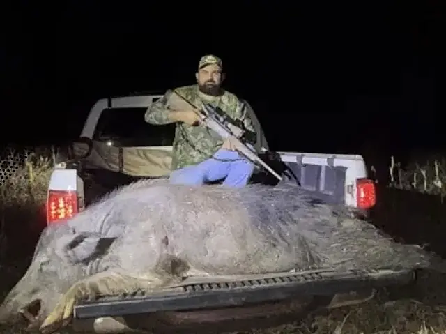 Empresário abate javali de 300 kg em Rio Brilhante durante ação de controle