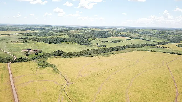 Com drones, PMA identifica desmatamento de 40 hectares e multa fazendeiro em R$ 40 mil